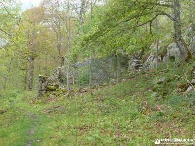 Ruta Cares-Picos de Europa; gr 14 bosque de faedo pico abantos romanico burgos parque natural peneda